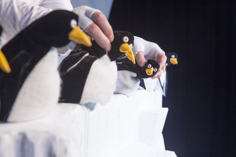 Alles Pinguin, oder was?